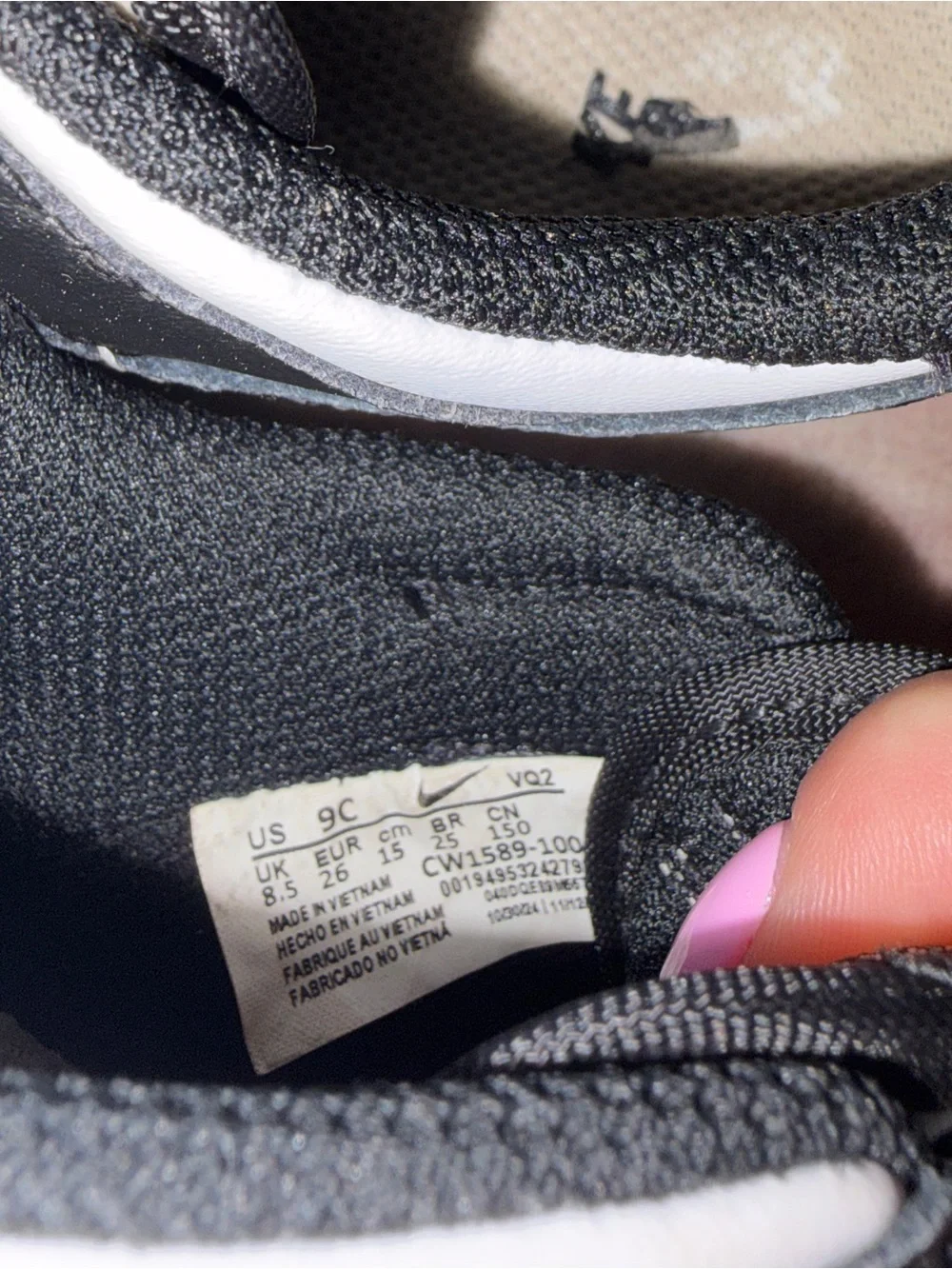 Toddler Nike Dunk